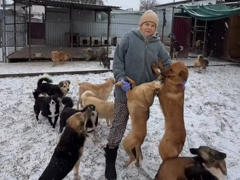 Svetlana and her Animal Shelter