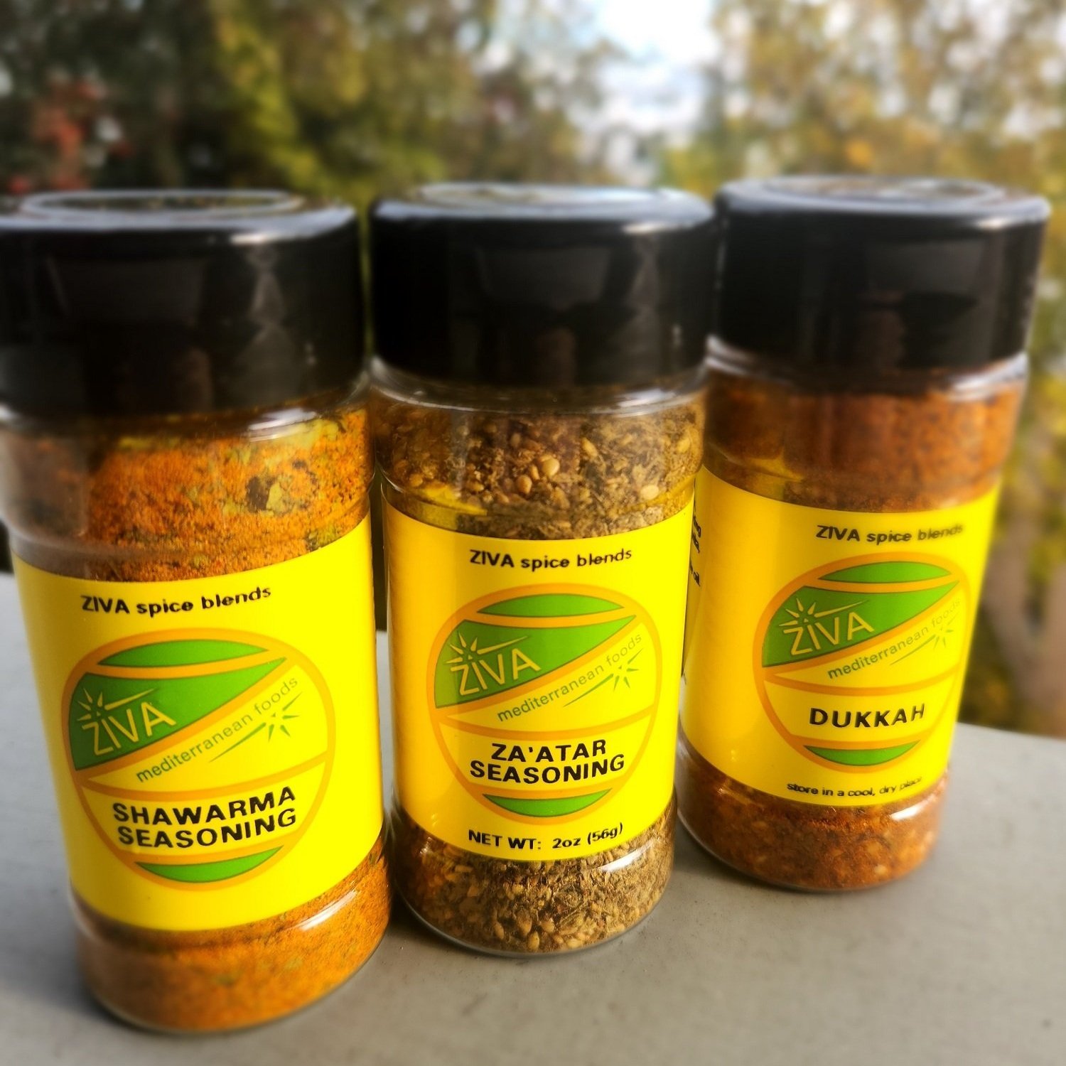 Spice+set%2C+resized.jpg