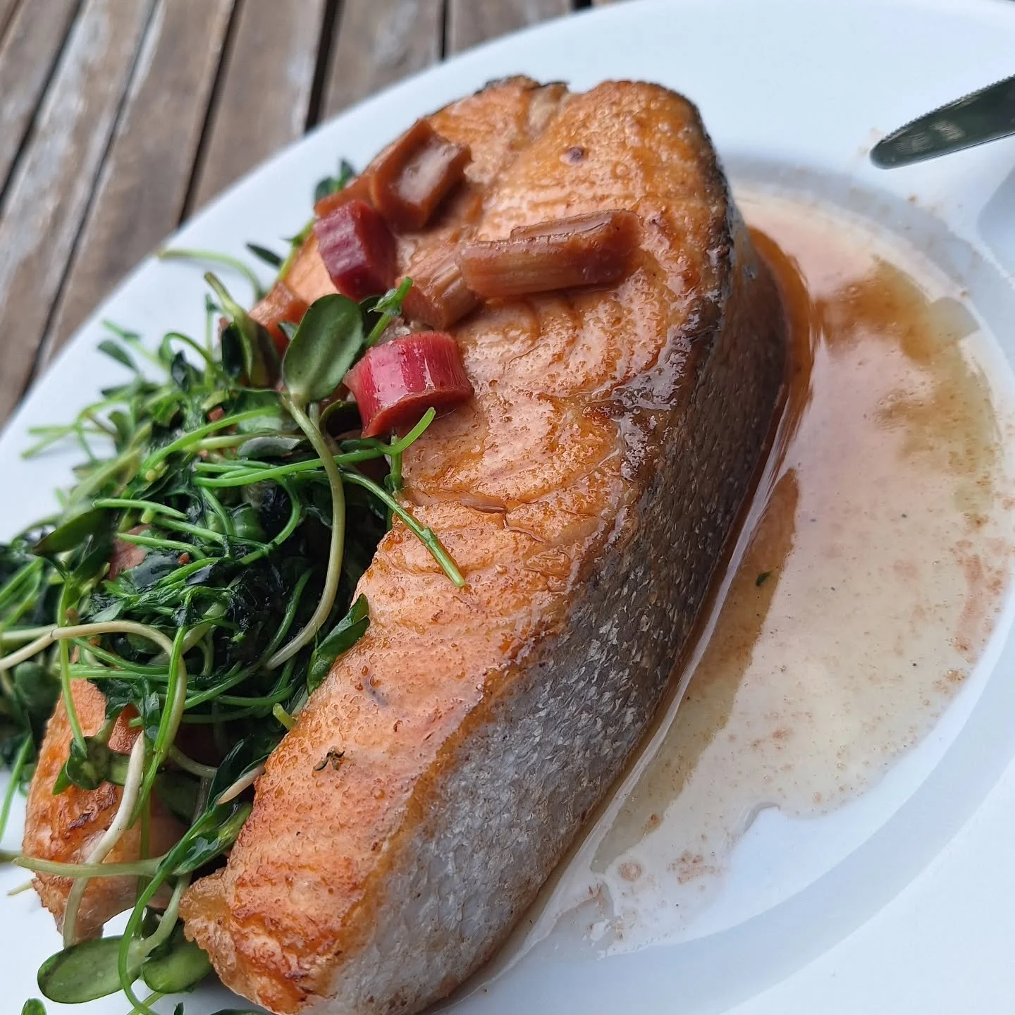 Salmon steak with ZIVA Pickled Rhubarb and sprouts from Little Guy Greens. What's on your dinner plate?

We are at MADRONA/CENTRAL DISTRICT Farmers Market tonight for the season opener!  Plus University District and Proctor on Saturday and Ballard on