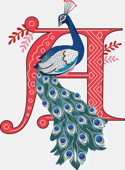 Peacock illustration