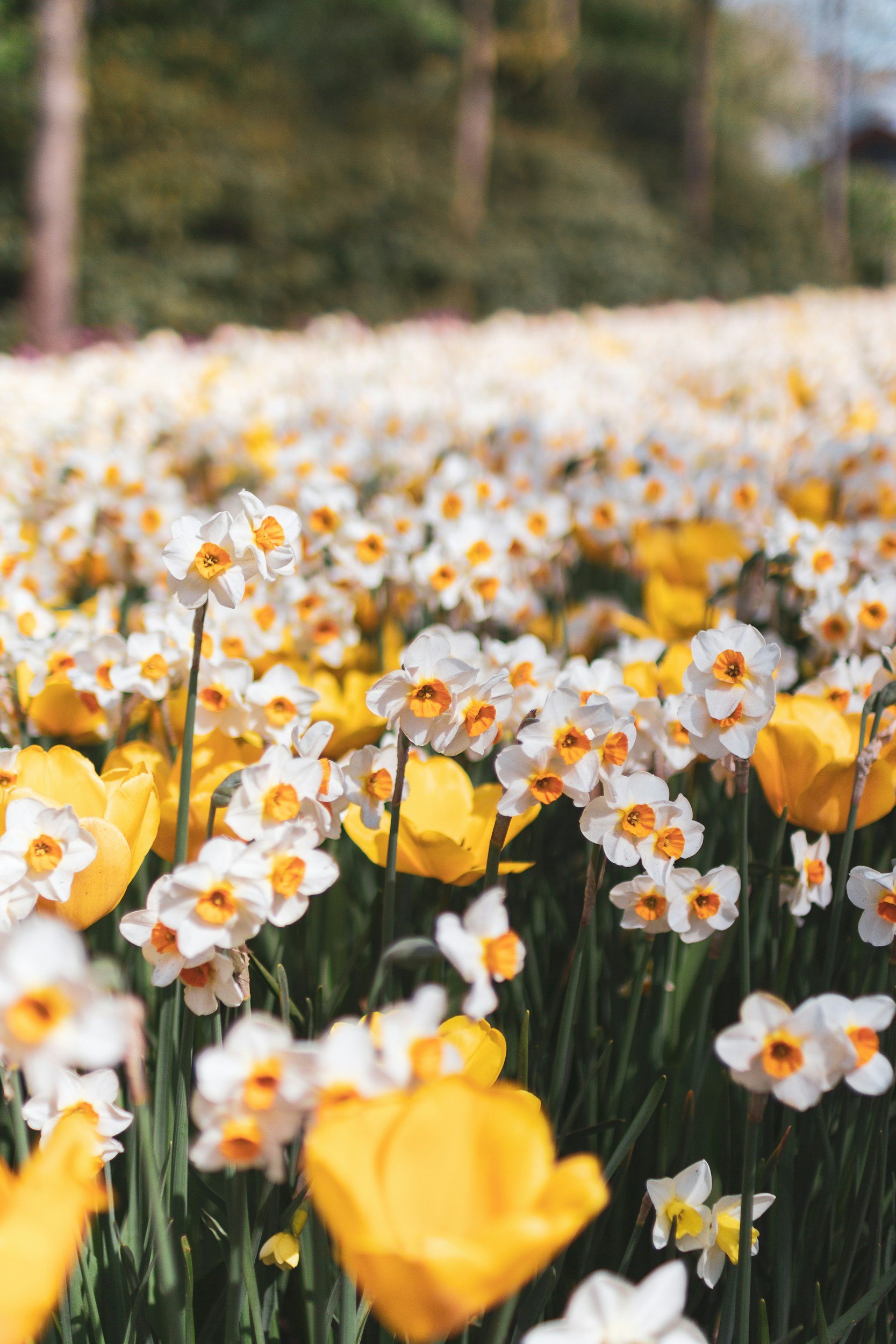 Rising Temperatures, Rising Inventory, and Opportunities Abound 