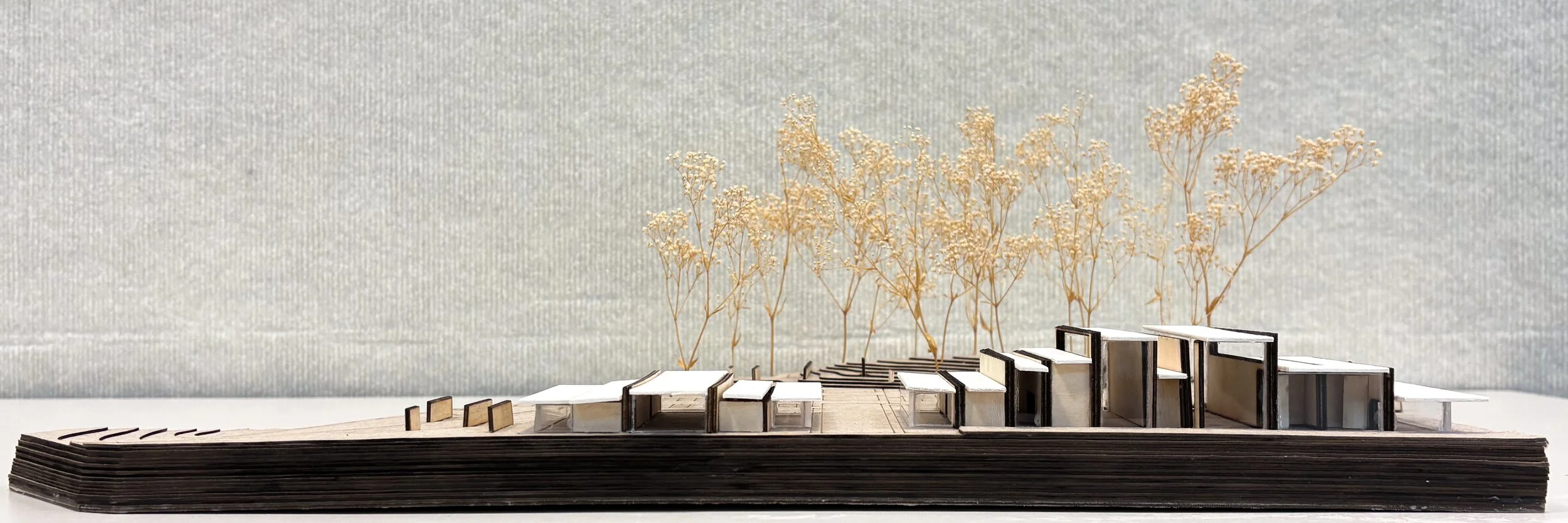 301 Project 2 Final Model B.jpg