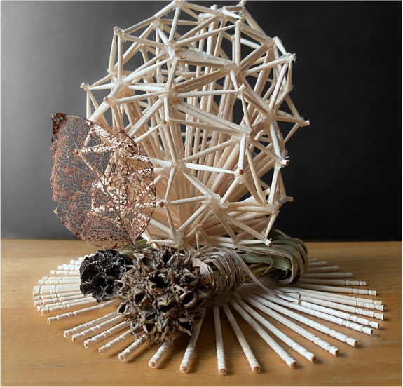 pinecone2.png