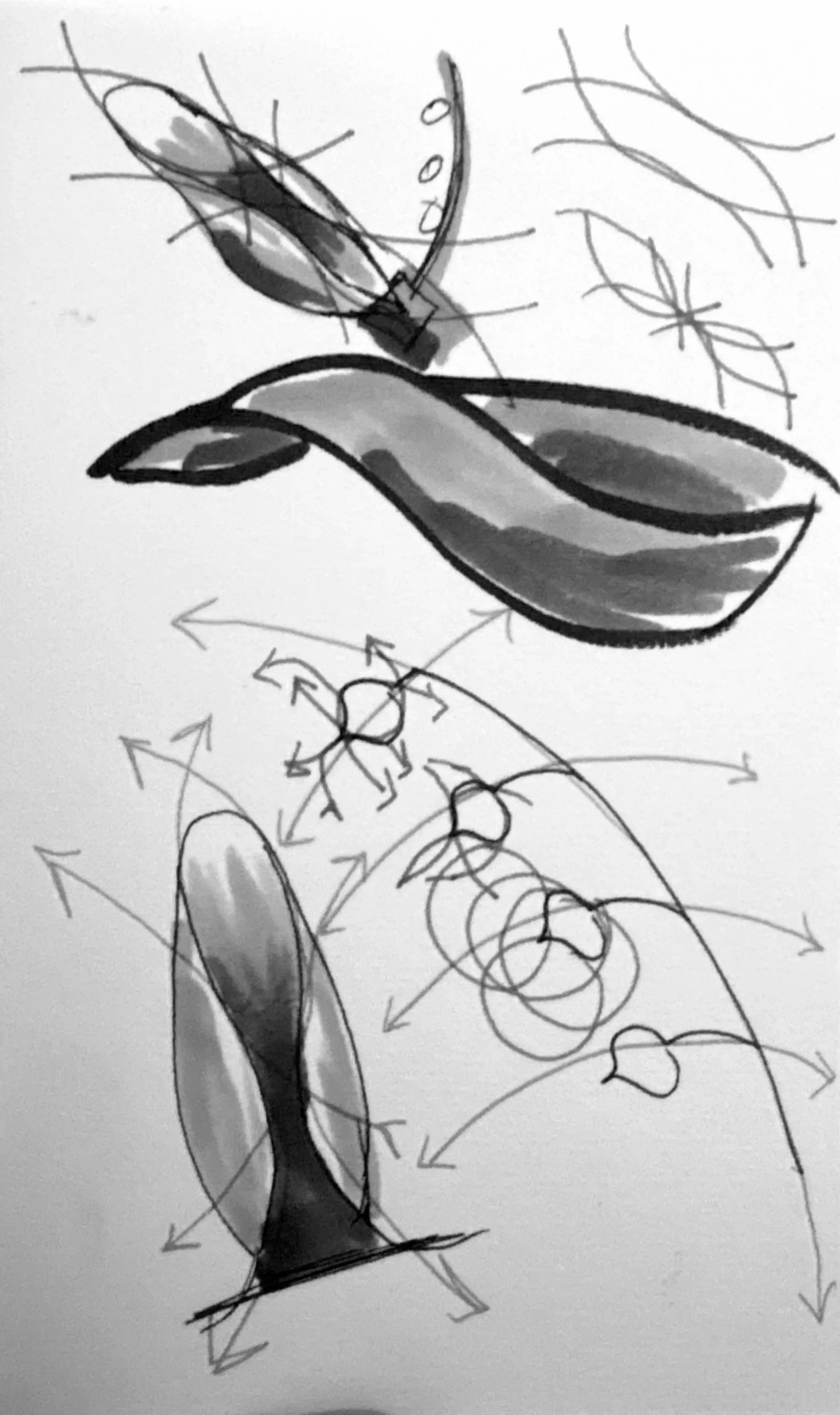 Ideation 03.jpg