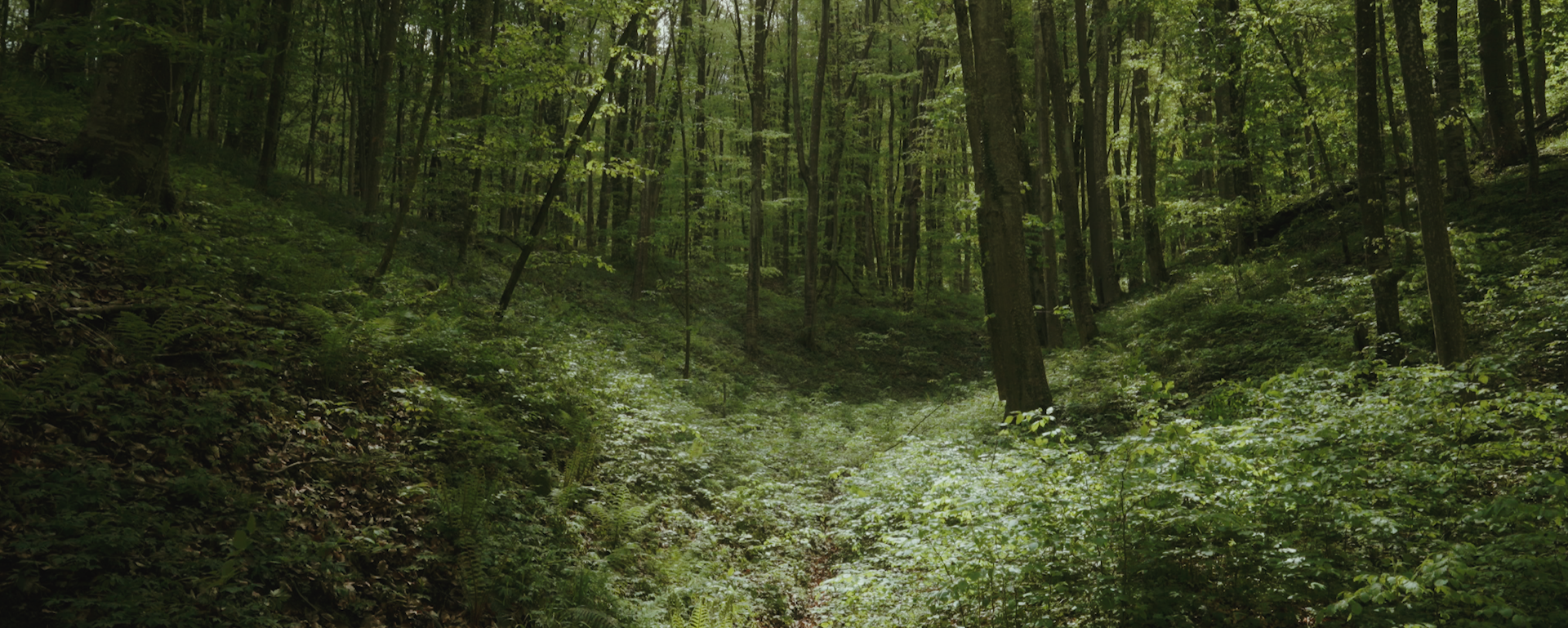 Wild+East_Still+04.png