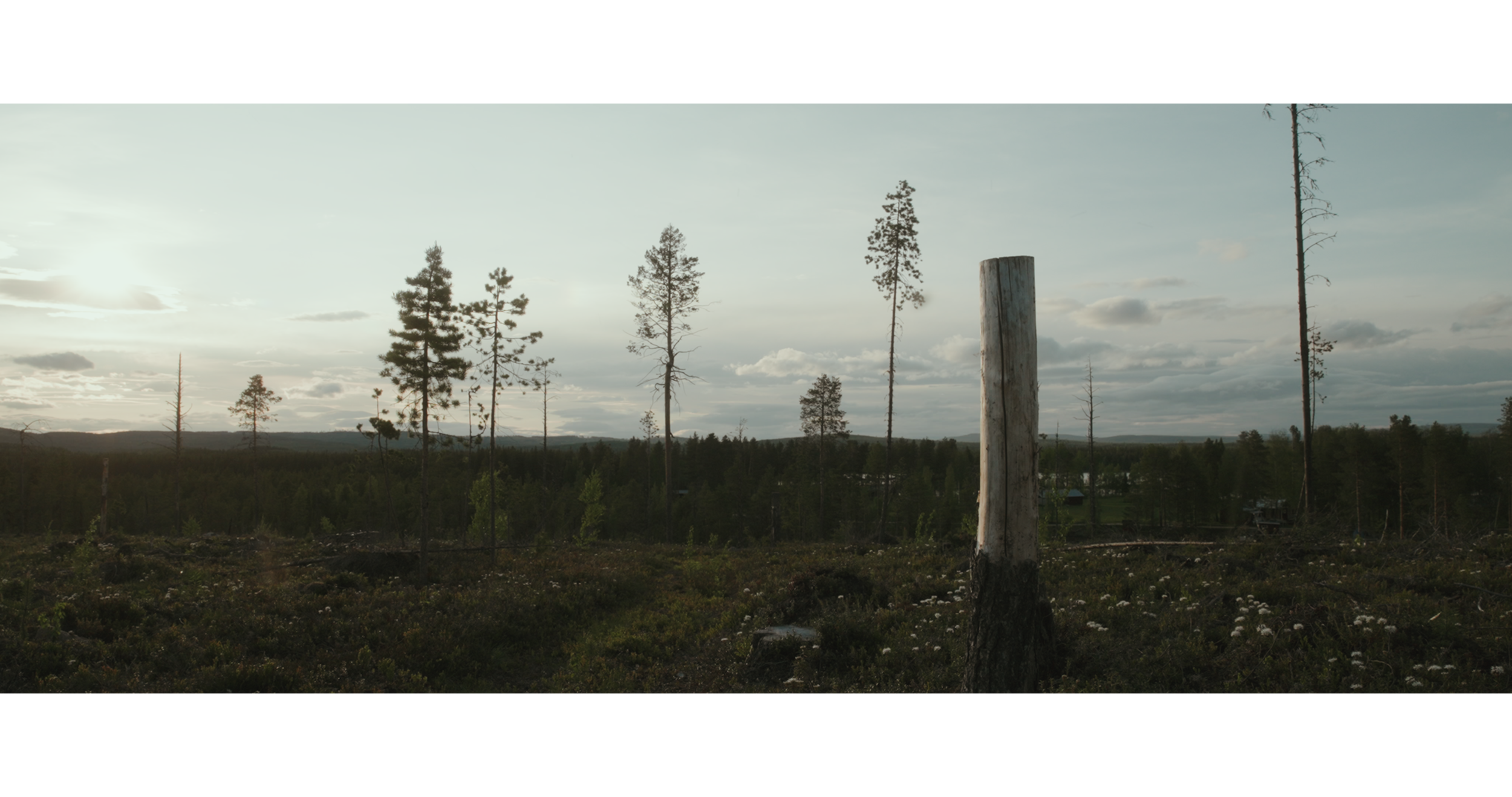 STRINGOUT_2025_06_14_DRIVE TO JOKKMOKK.00_39_39_15.Still009.png