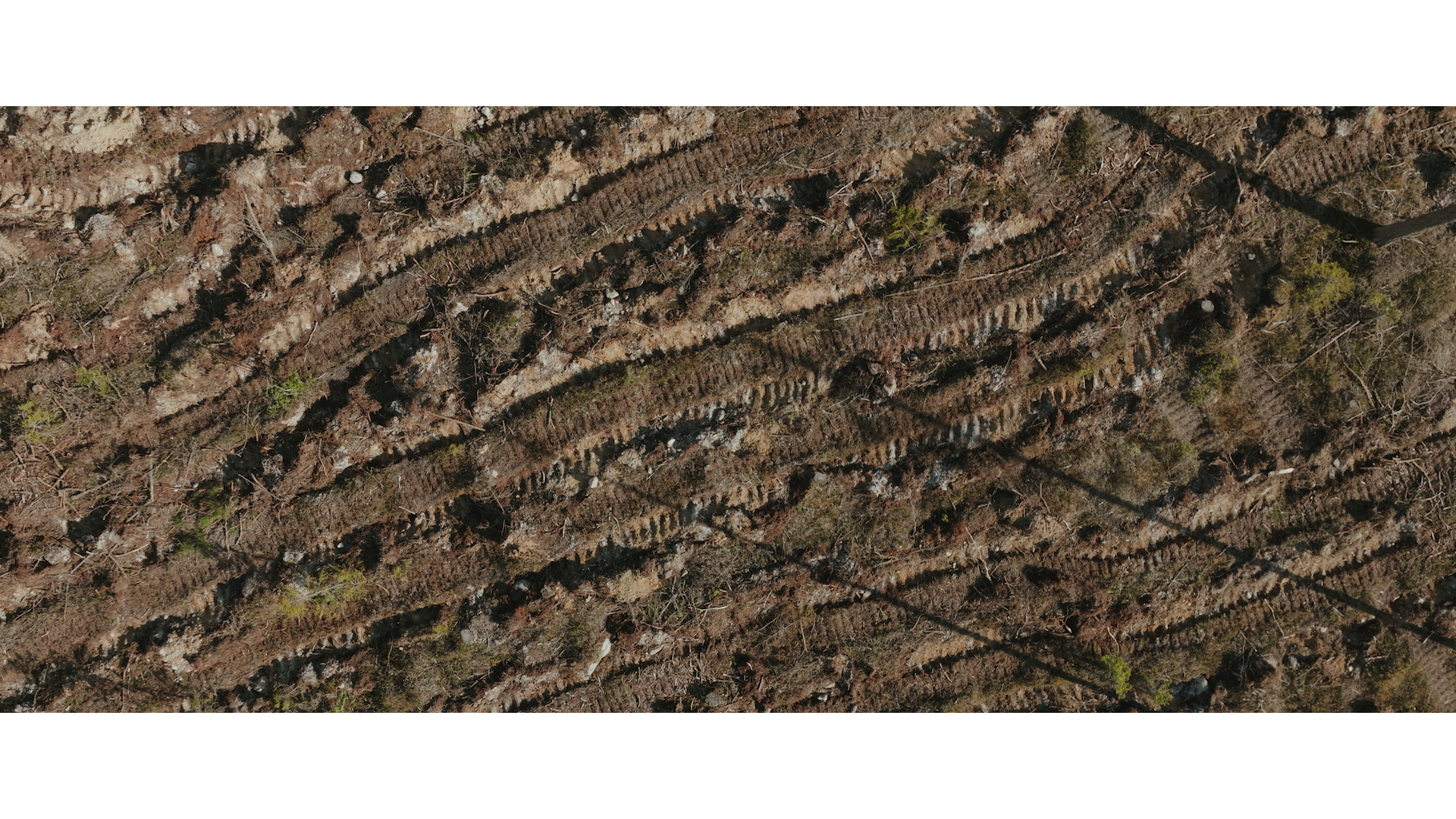 Wild East_Still 08.png