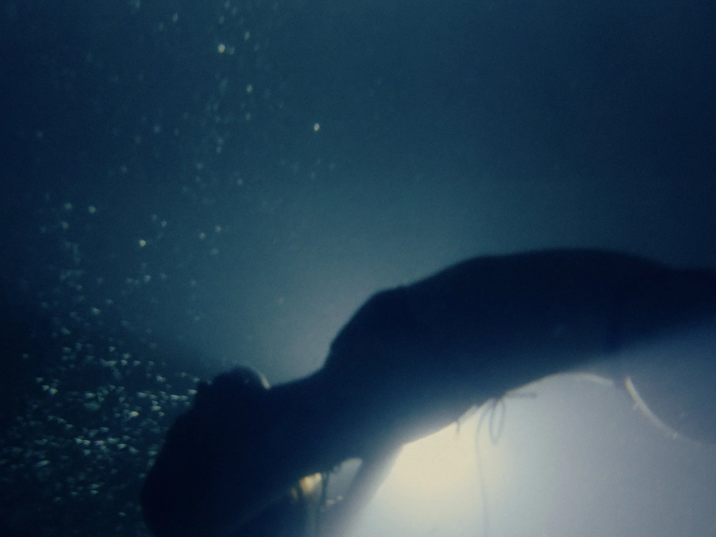 MichaelSeehagel_CostaRica_10.webp