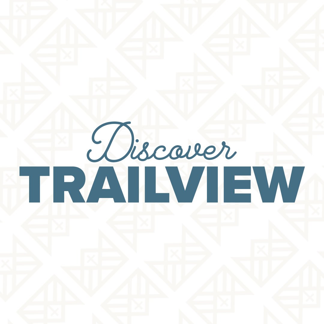 Discover Trailview