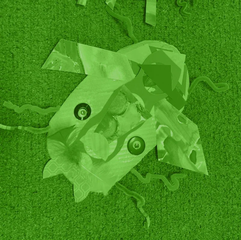 Collage of overlapping green leaves with camera lens and eye illustrations, arranged on a green textured surface.