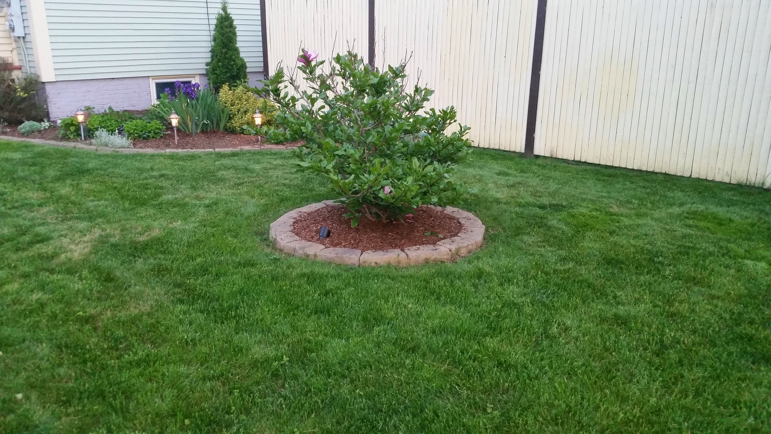 20140601_201840 - Copy.jpg