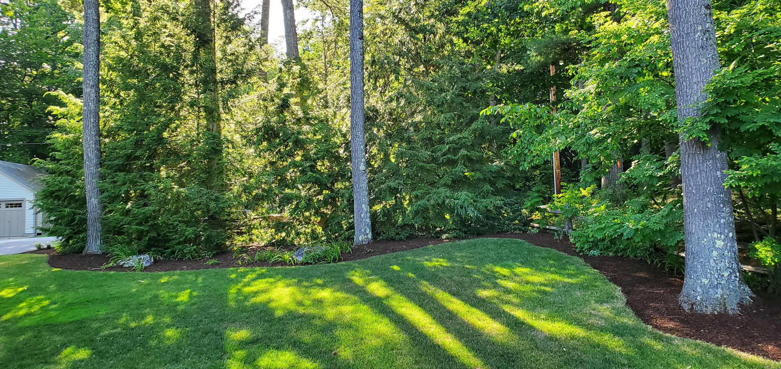20190718_172107.jpg