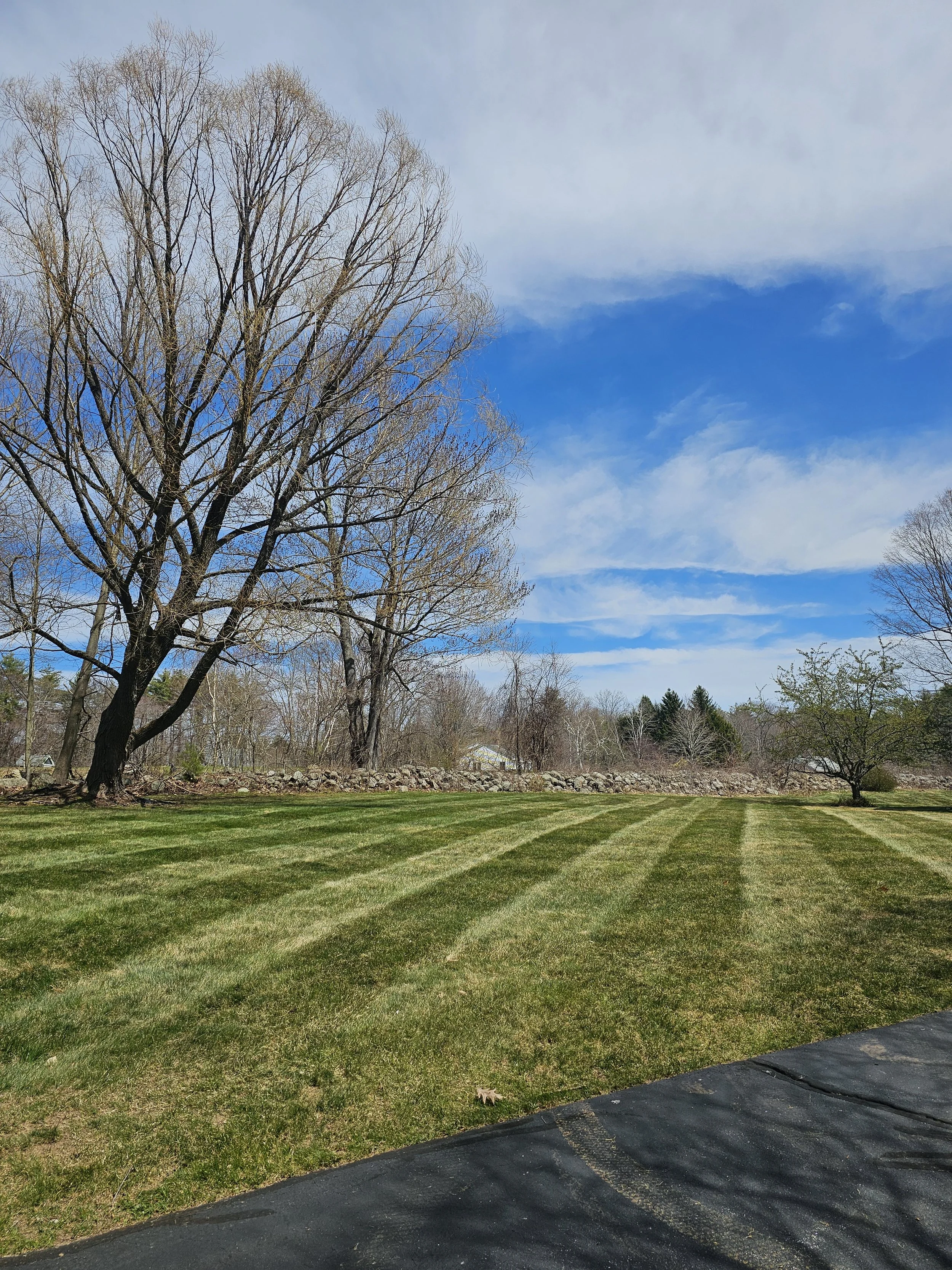 A large, neatly mowed lawn with visible stripe patterns, bordered by leafless trees and a stone wall, under a partly cloudy blue sky.