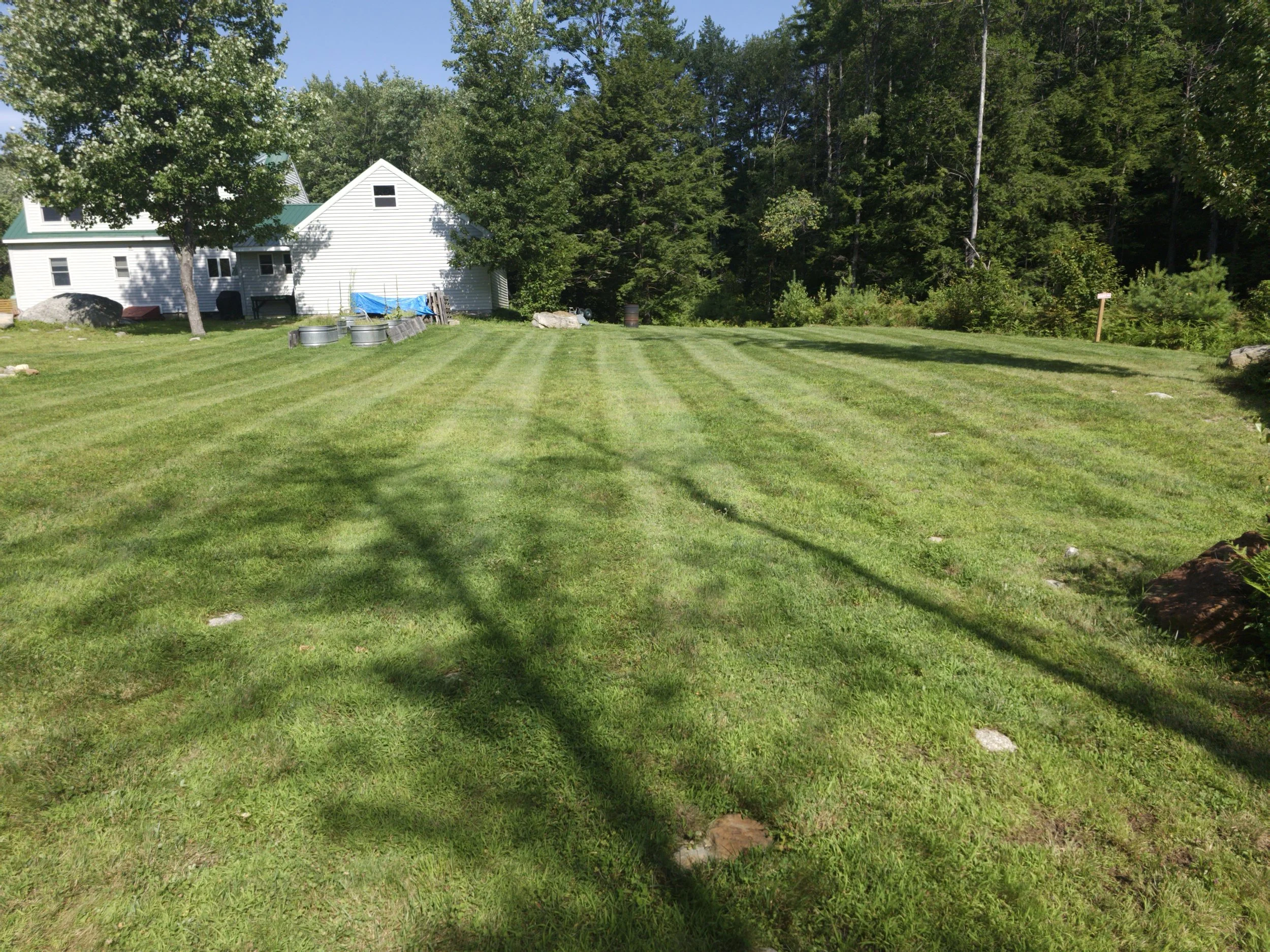 Large grassy yard with freshly mowed lawn, surrounded by trees, and a white house with a green roof. The house is partially visible on the left, with metal containers and a tarp nearby.