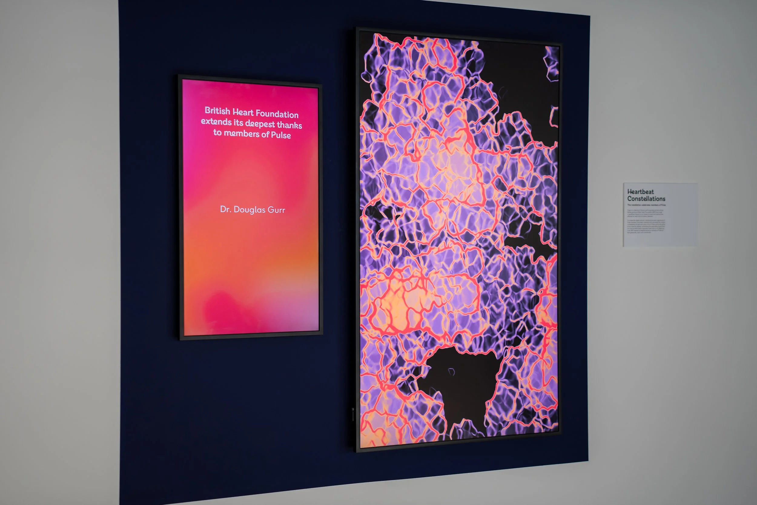 Digital display featuring a colorful abstract image of interconnected heart-shaped patterns in purple, pink, and orange, and a pink screen with the text: "British Heart Foundation extends its deepest thanks to members of Pulse, Dr. Douglas Gurr".