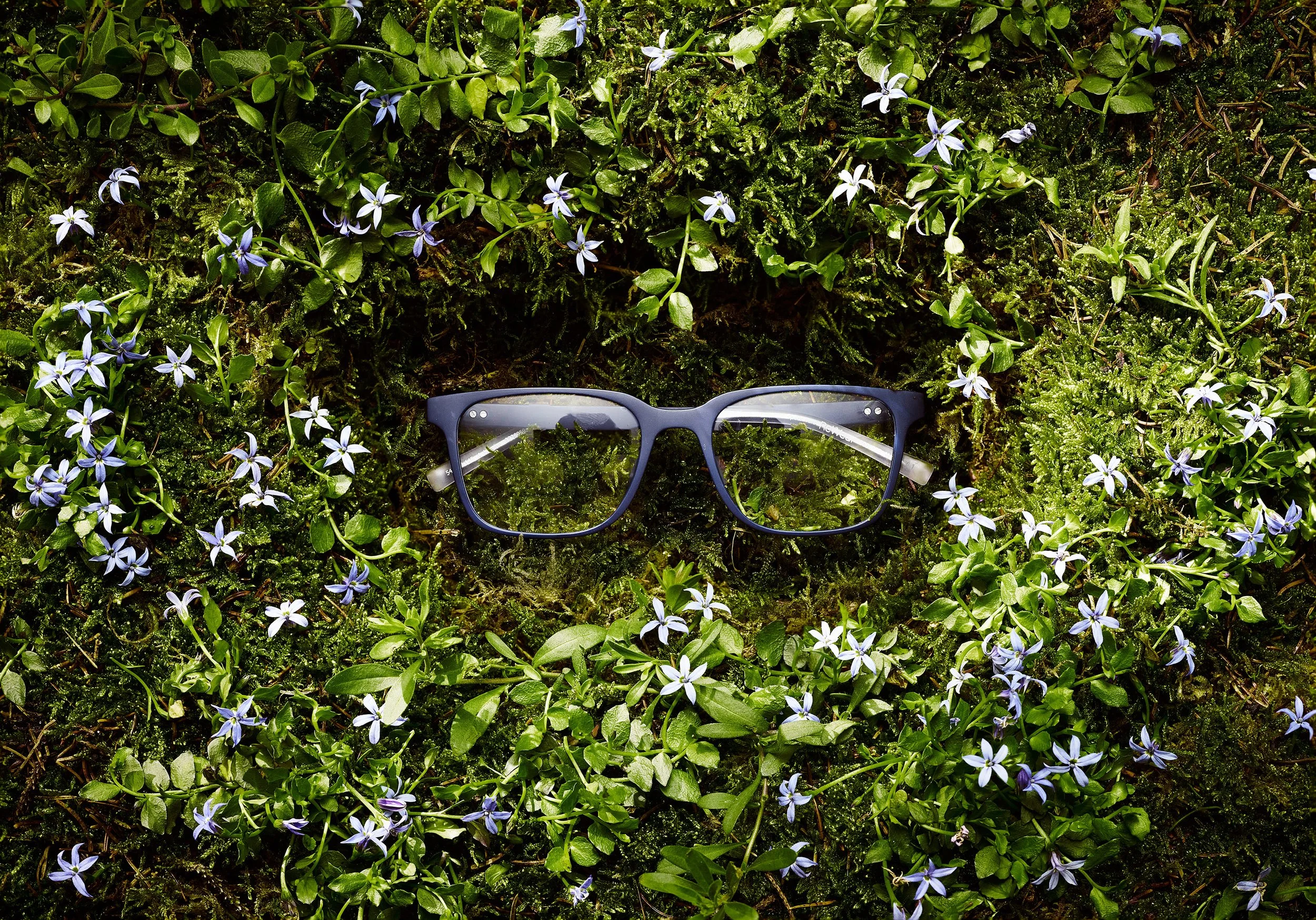 A pair of black eyeglasses resting on a bed of green moss and small purple flowers.