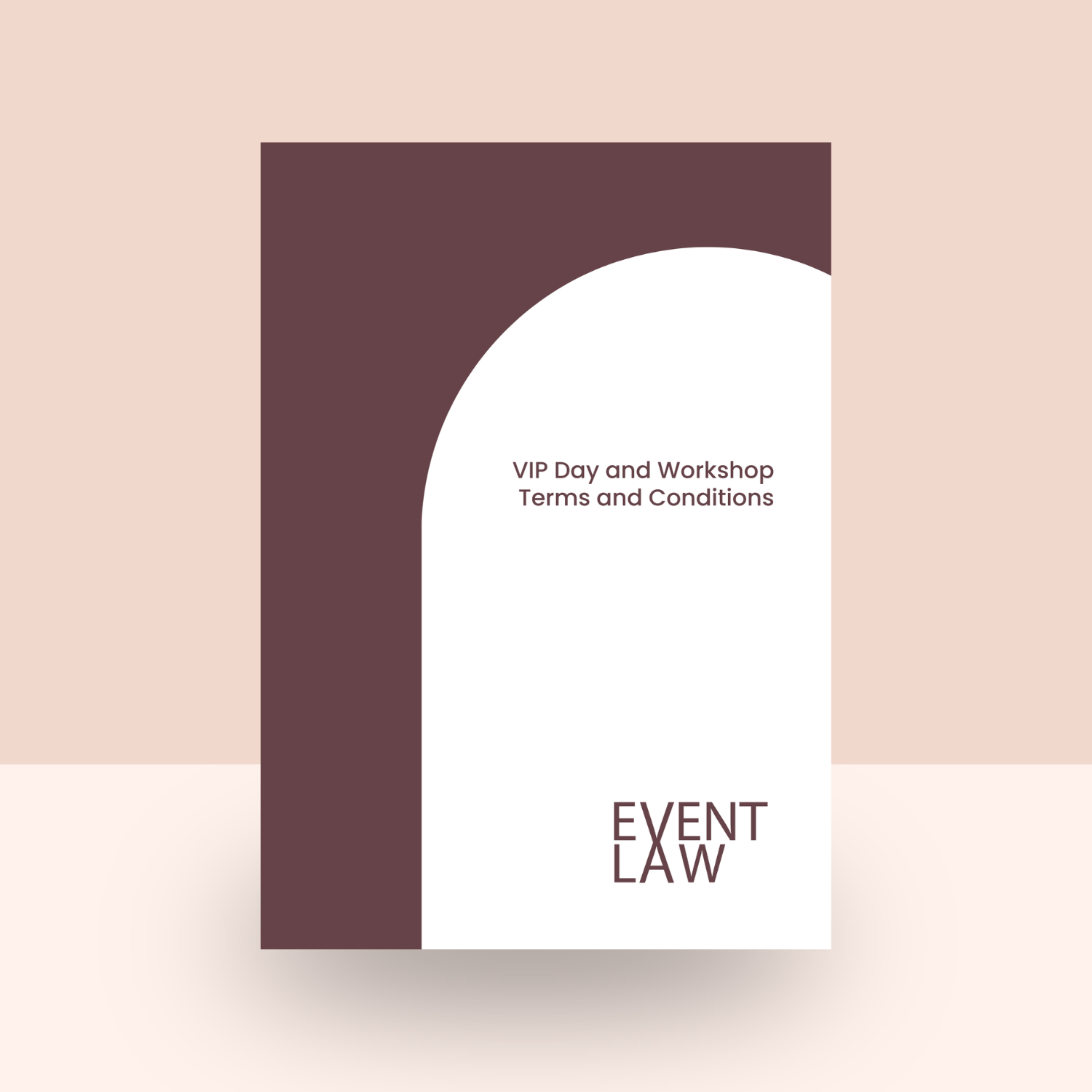 VIP Day and Workshop Terms and Conditions