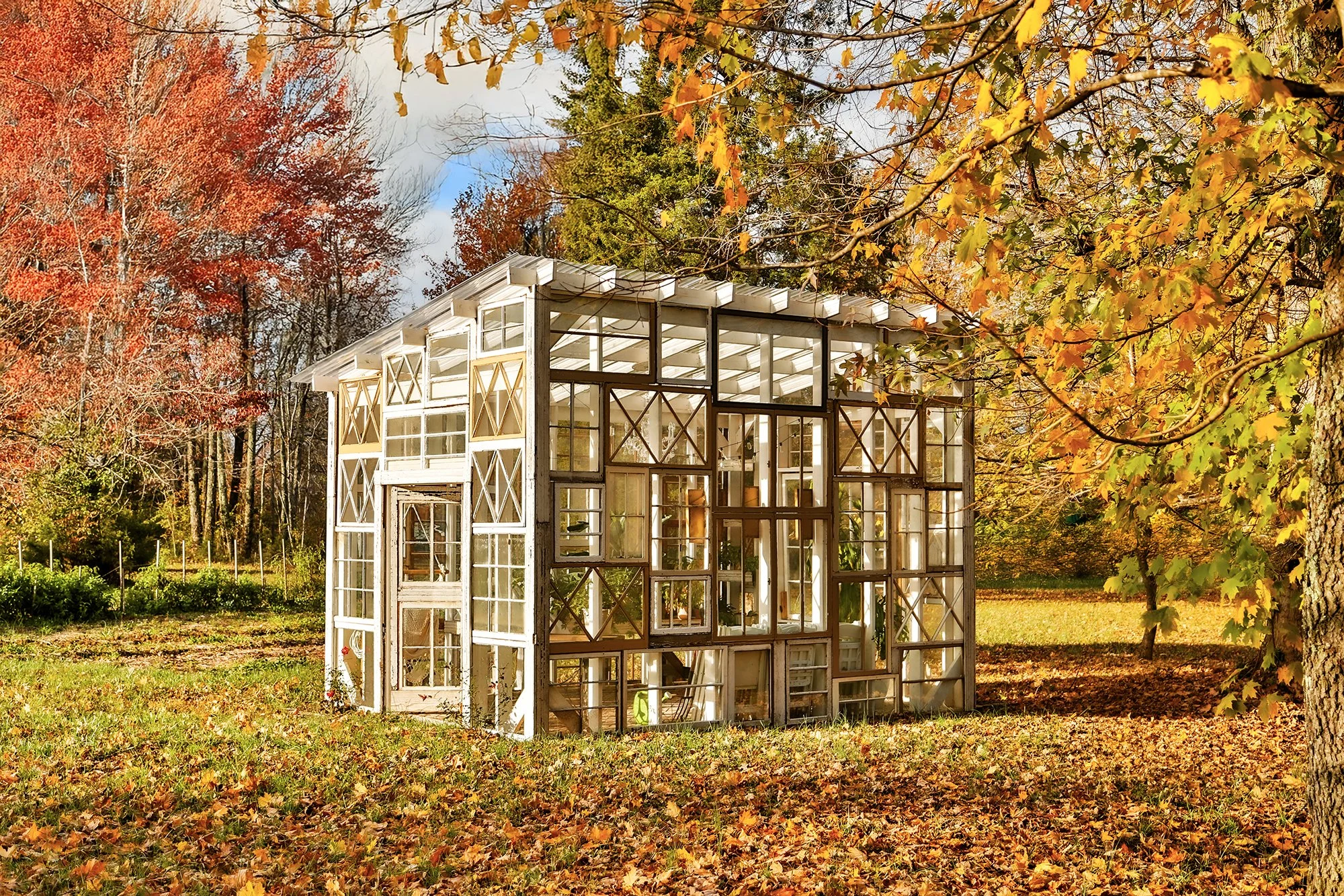 Window Green House-Small.jpg