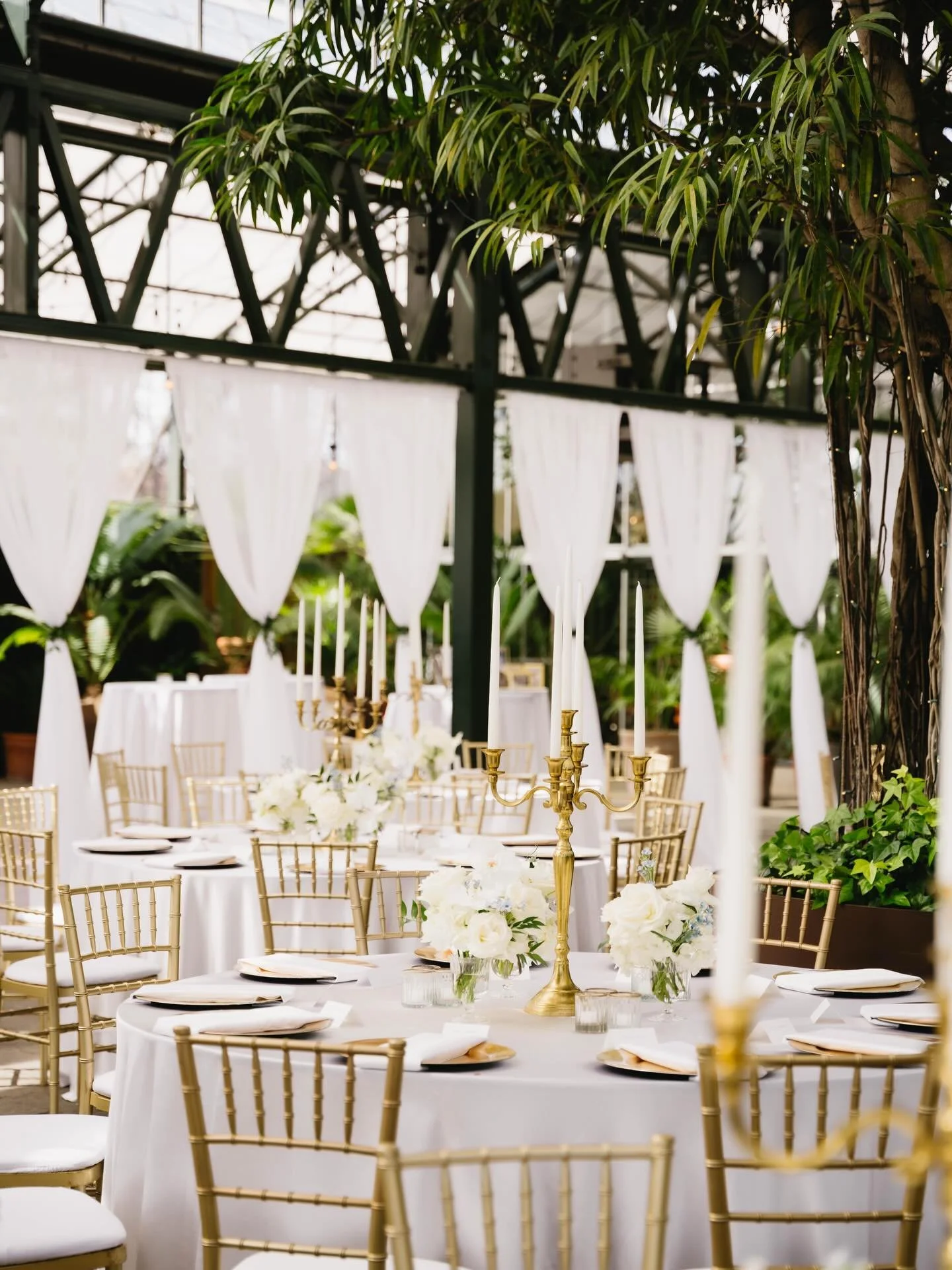 Proof that the little details really do make the biggest impact. Such a timeless and elegant setup from start to finish.

Venue: @planterraconservatory 
Photo: @tabronstudios_
Video: @brandonfullfilms 
Content: @xjadajacksonx
DJ: @audiotainment
Cake: