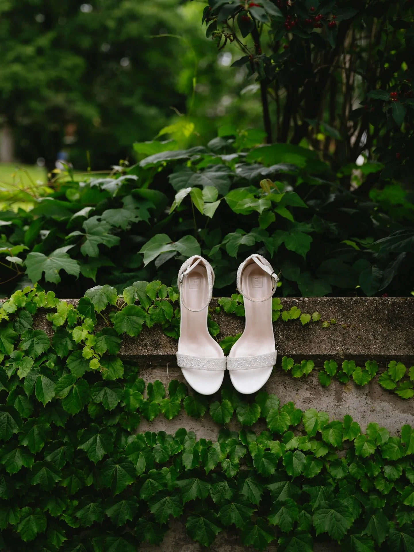 The Beckers 💍🤍
-
-
#destinationweddingphotographer #destinationphotographer #weddingphotographer #michiganphotographer #arizonaphotographer
