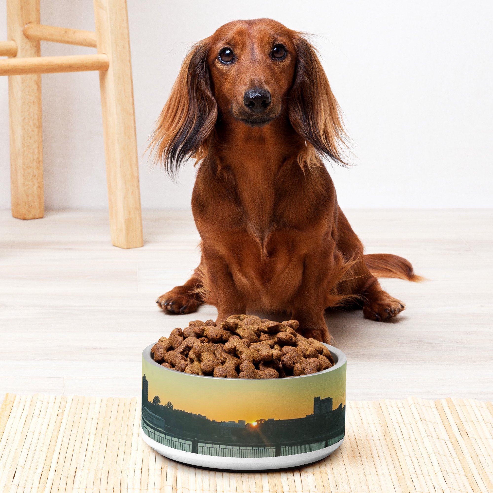 pet-bowl-white-32-oz-front-674d100d37e6d.jpg