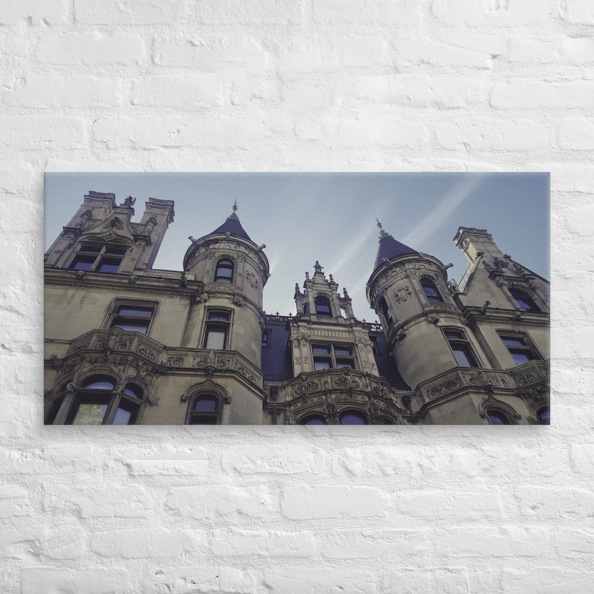 canvas-(in)-20x40-front-67d468d0a5e00.png