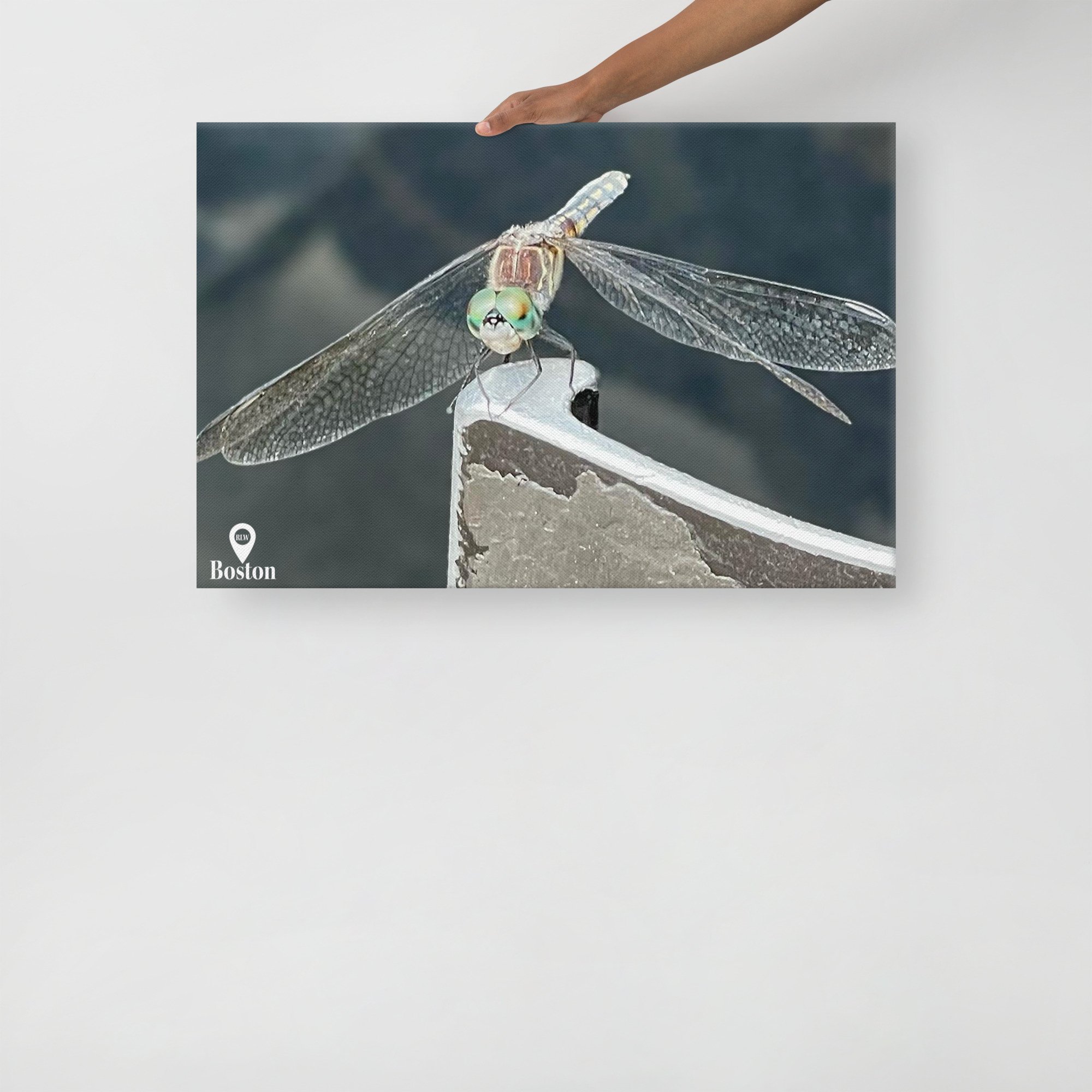 thin-canvas-(in)-20x30-front-67d4be4586f44.jpg