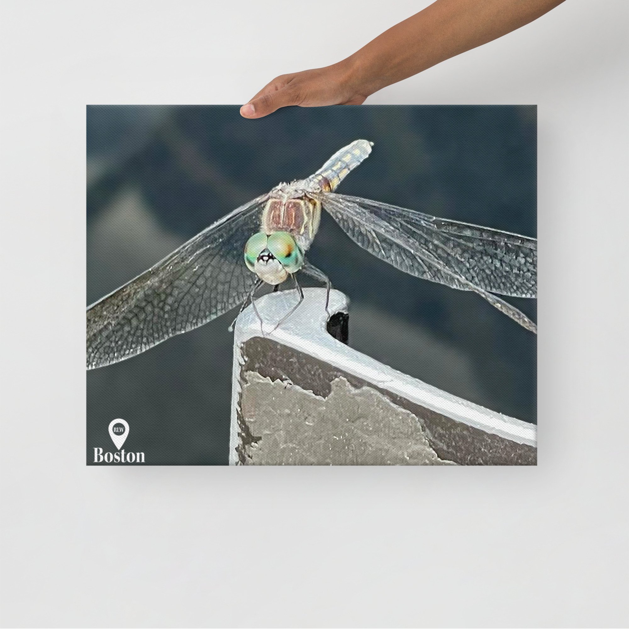 thin-canvas-(in)-16x20-front-67d4be458792a.jpg