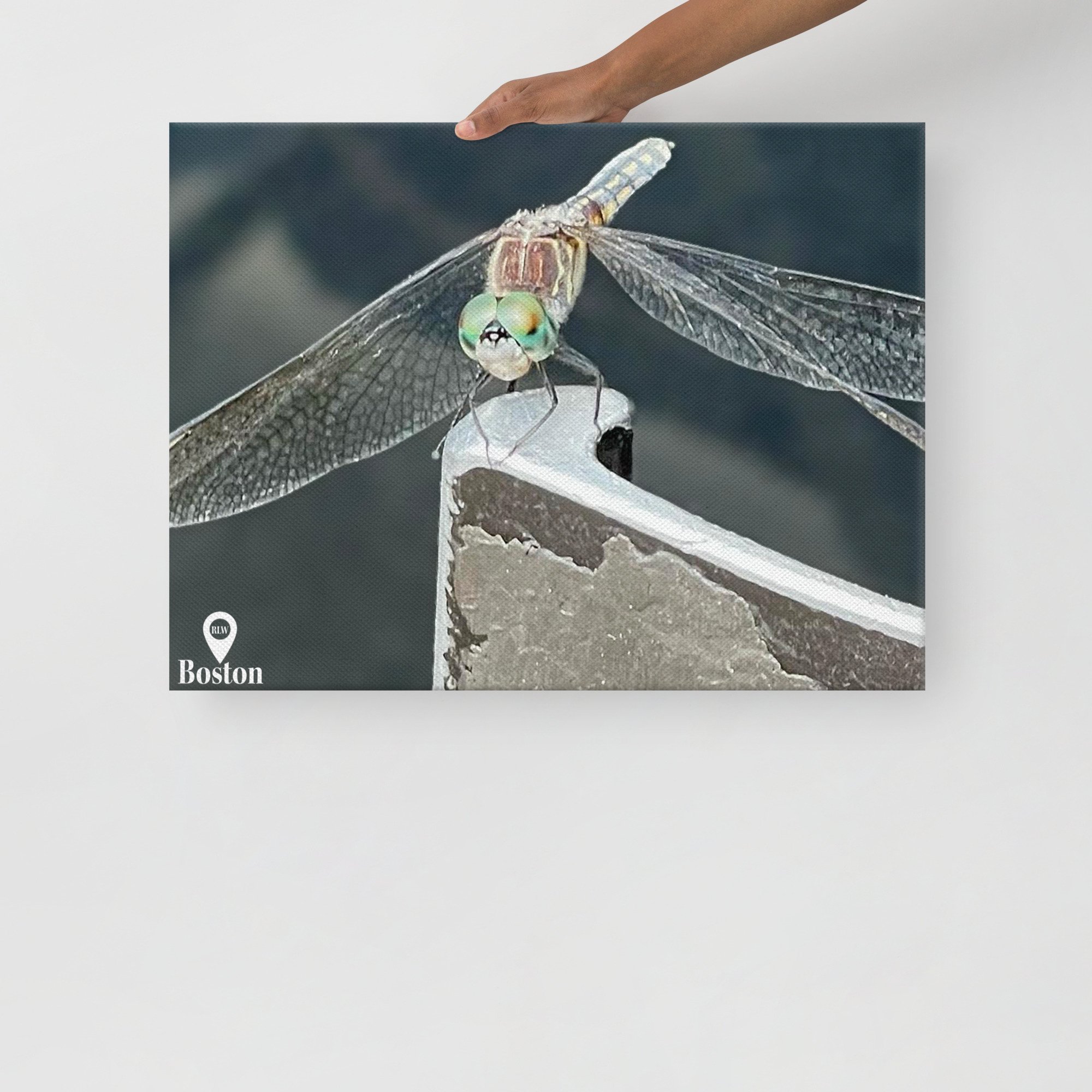 thin-canvas-(in)-18x24-front-67d4be45879ca.jpg