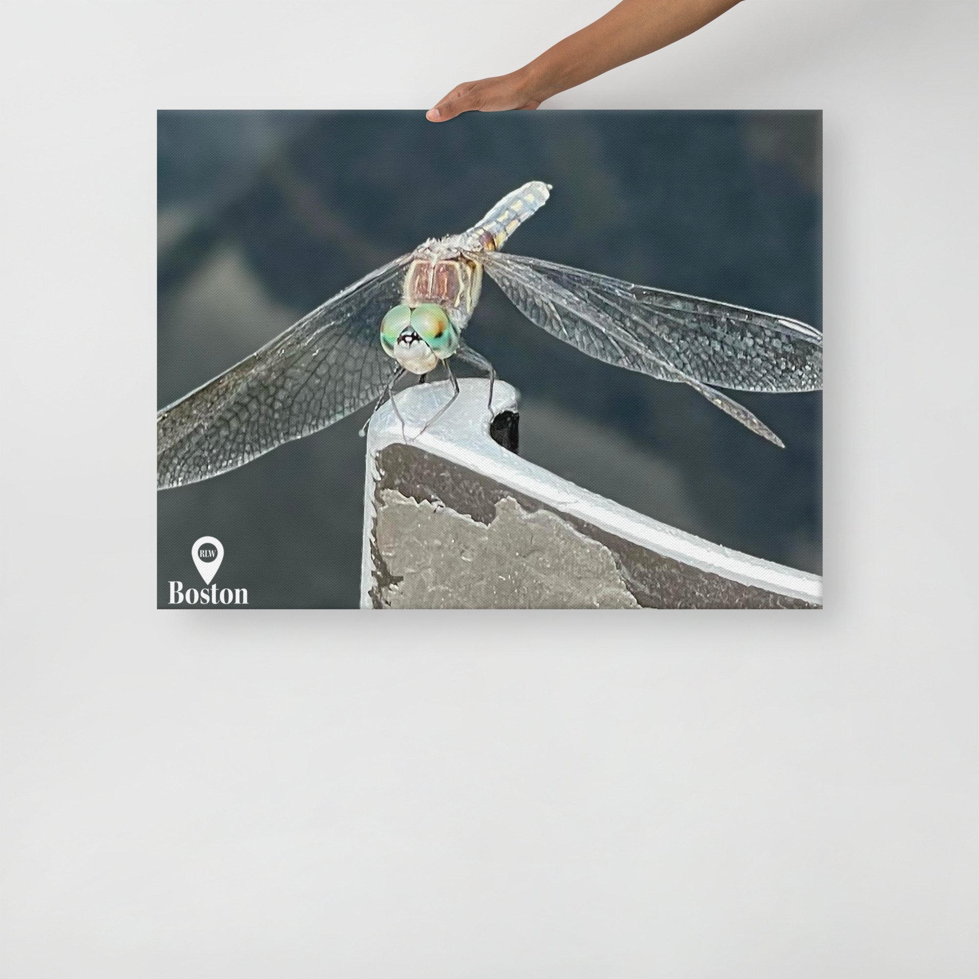 thin-canvas-(in)-24x32-front-67d4be4587c5a.jpg