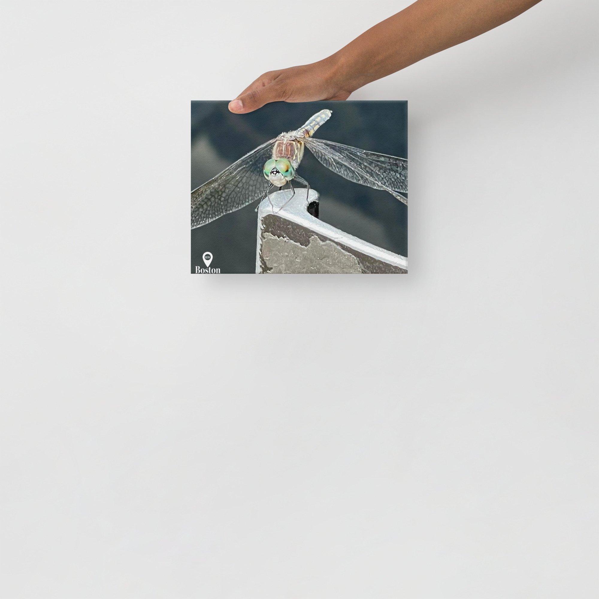 thin-canvas-(in)-8x10-front-67d4be4587cff.jpg