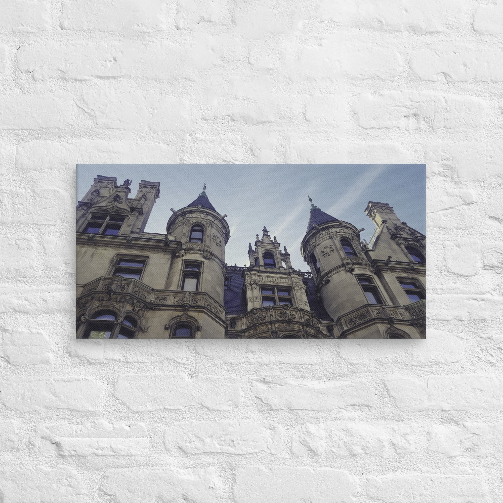 canvas-(in)-12x24-front-67d4c6c675e13.jpg