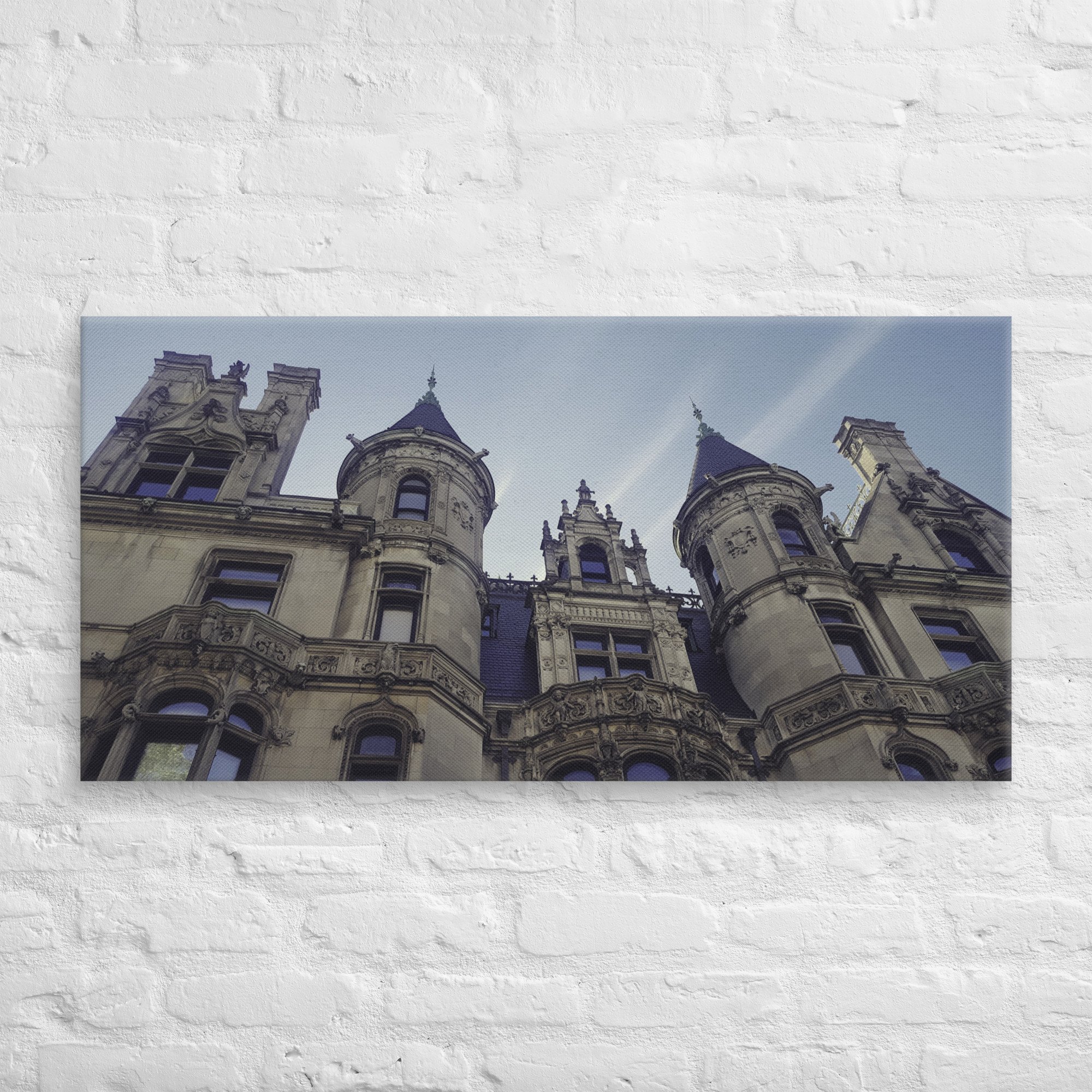 canvas-(in)-20x40-front-67d4c6c676605.jpg