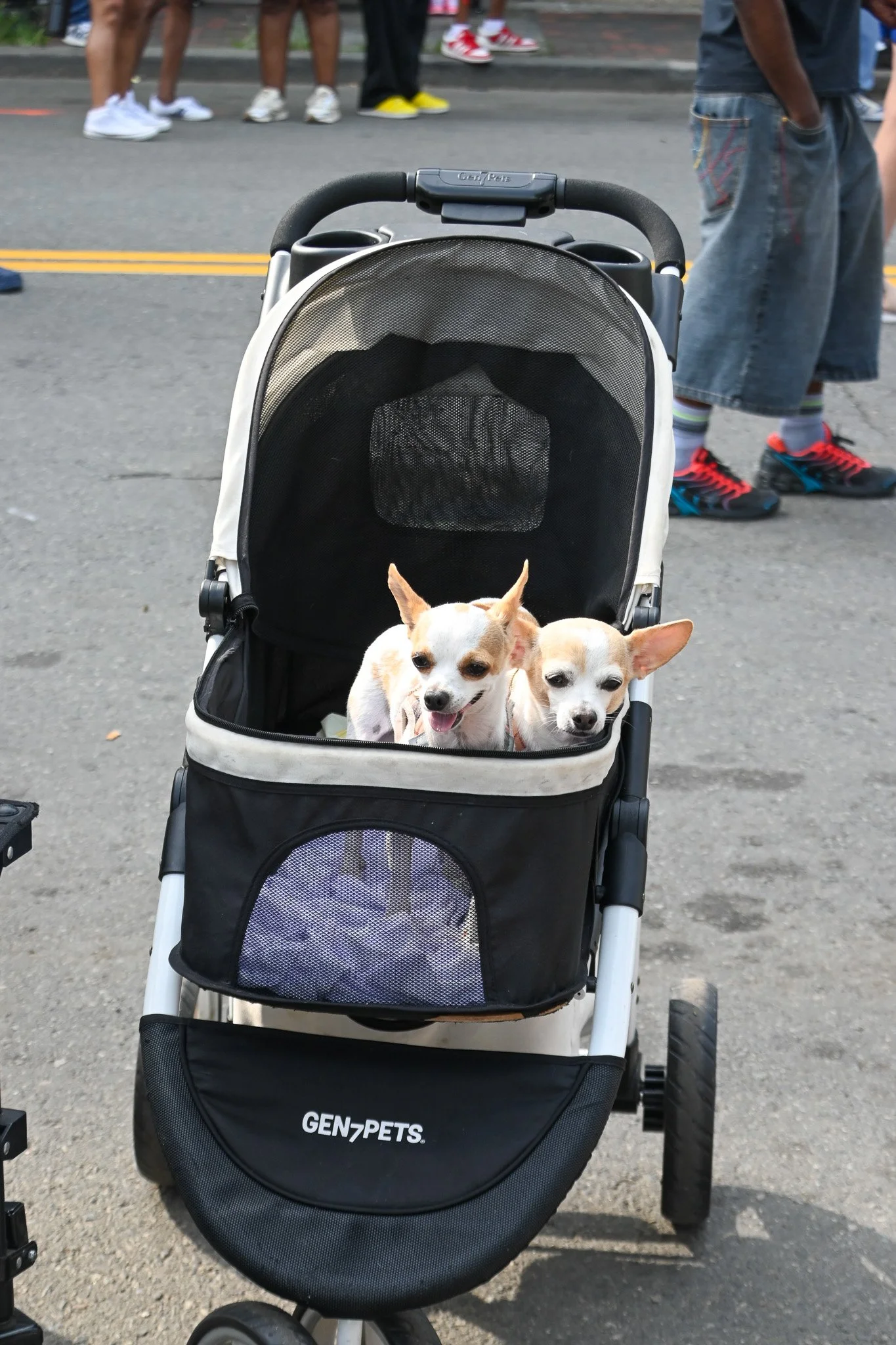 DSC_6229.jpg