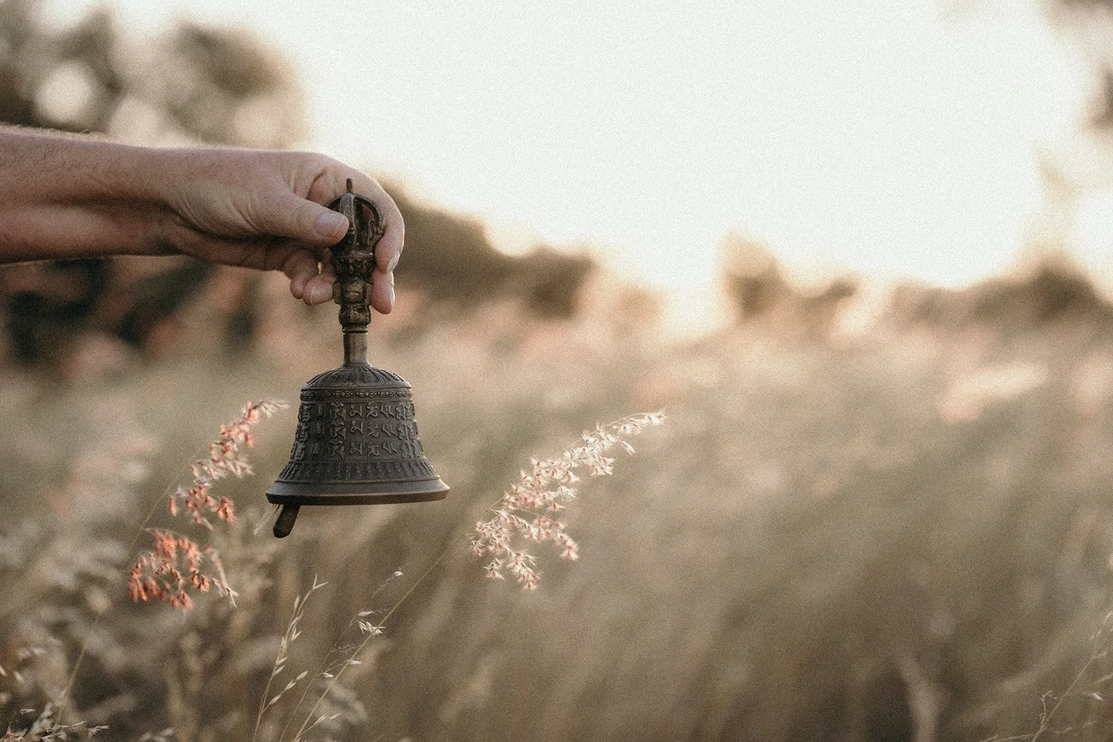 Pure Shamonics-54.jpg