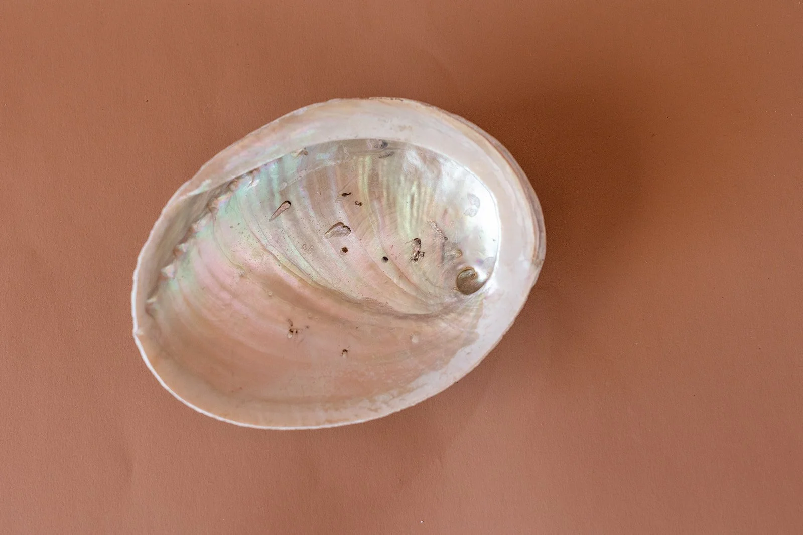 PS product shots (11 of 23).jpg