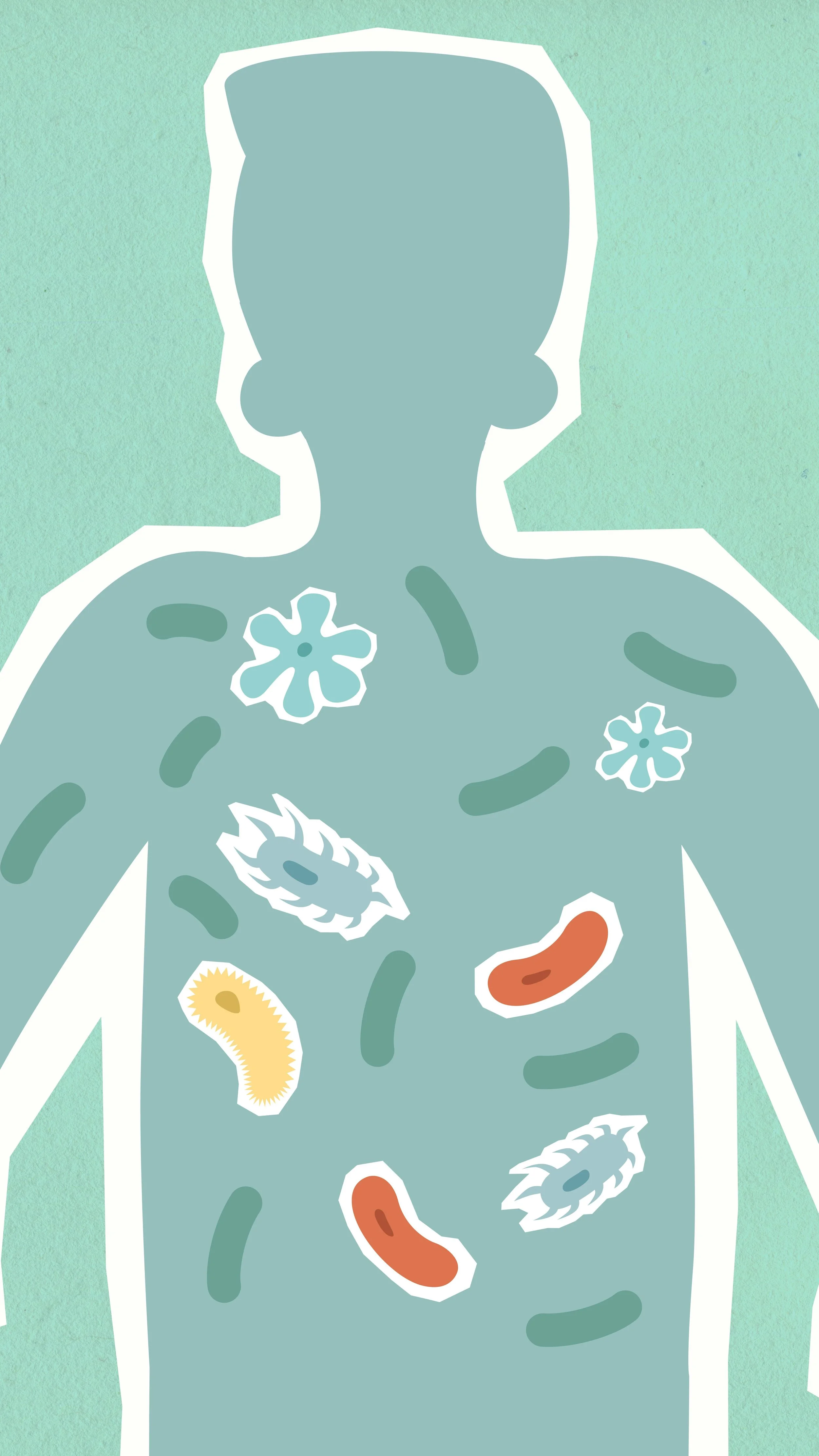 Gut Health: The New Performance Frontier