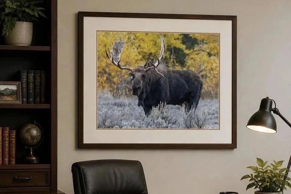 Hoback%25252BOffice.jpg