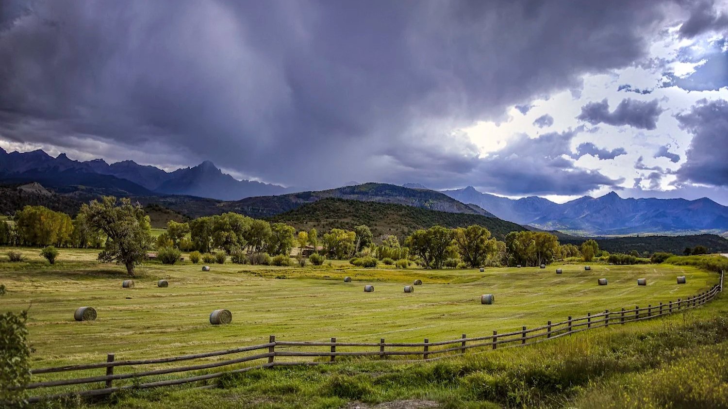 Dallas+Divide+Fall+Hay+3.jpg