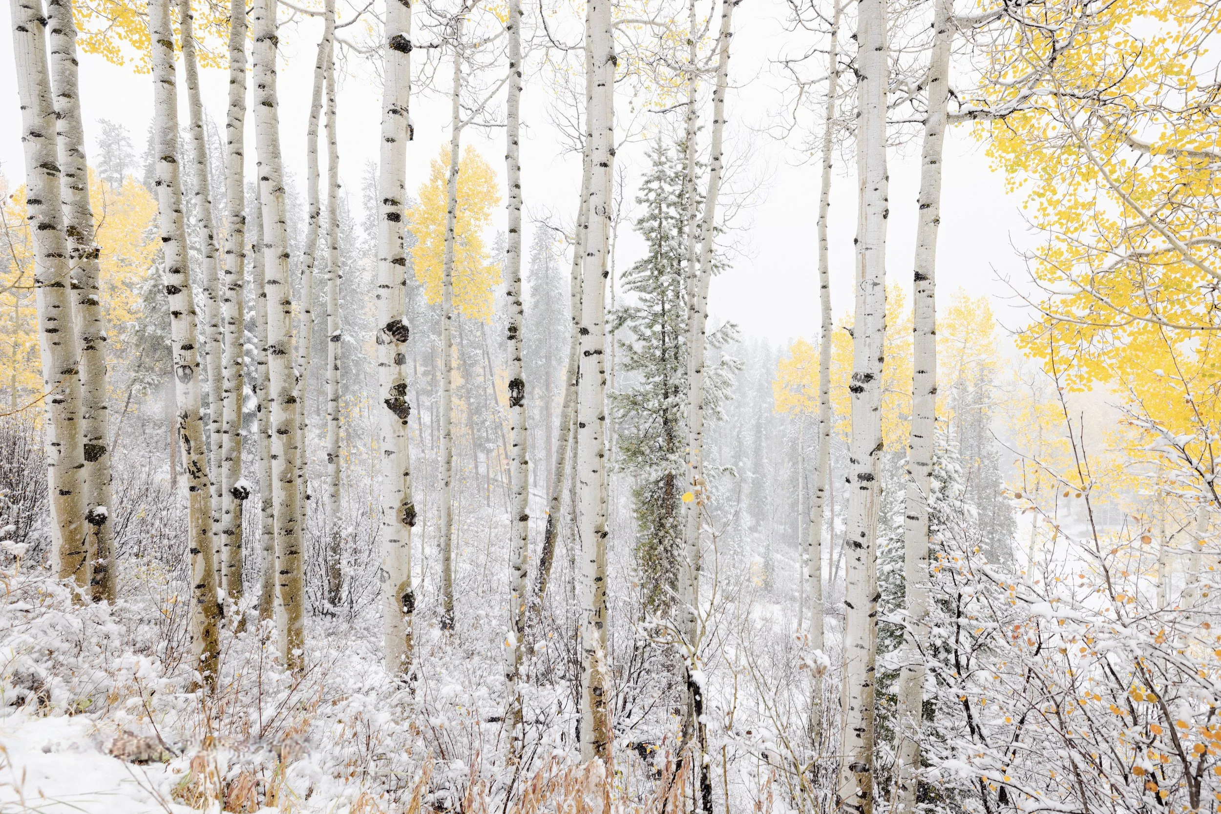 Seasons Collide, October 2023