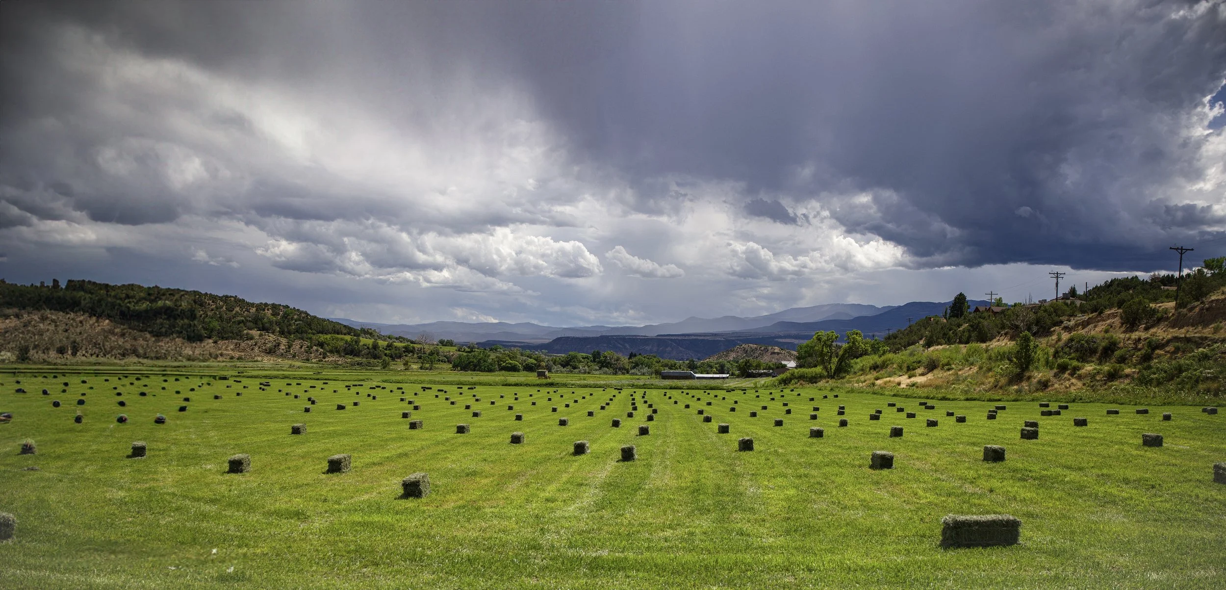 Rifle Hay Field, Summer 2024