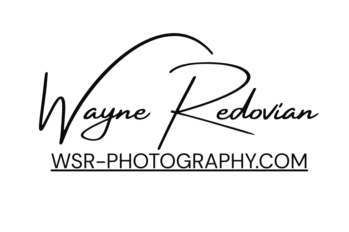 Wayne Redovian Photography