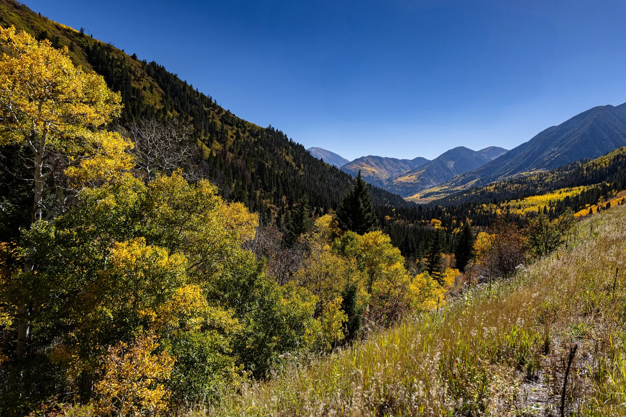 Kebler Pass, October 2024