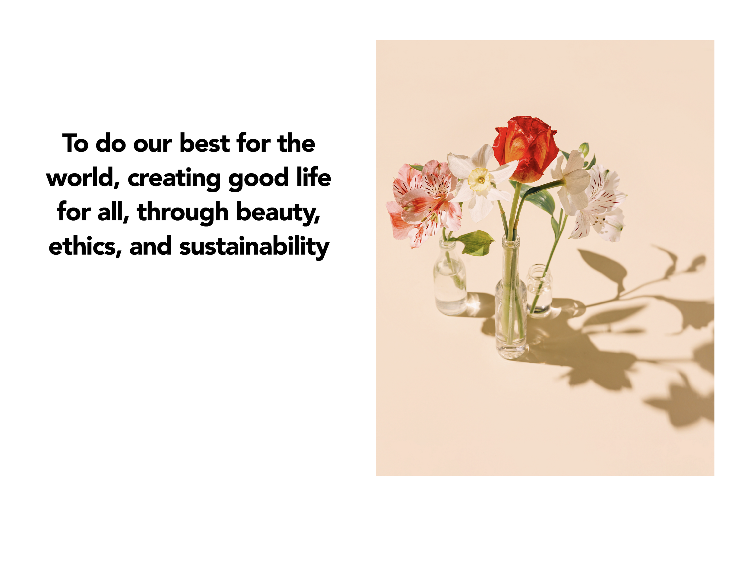 David Ezra_Book Pages-09.png