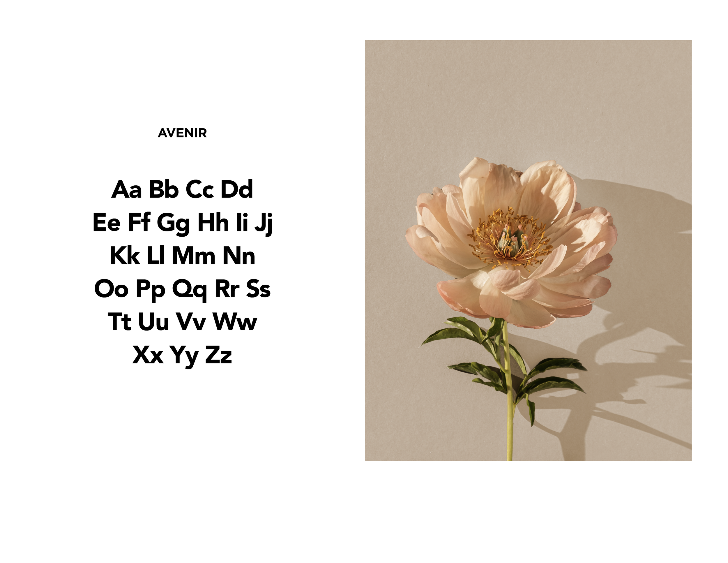 David Ezra_Book Pages-11.png