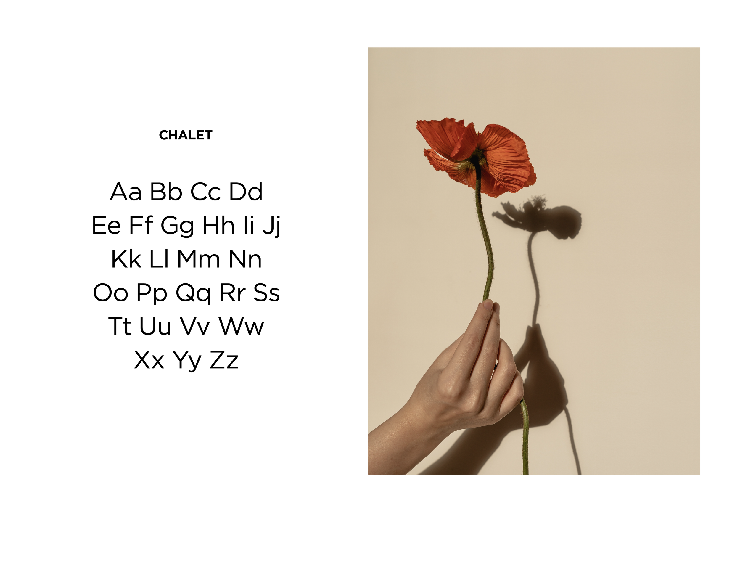 David Ezra_Book Pages-12.png