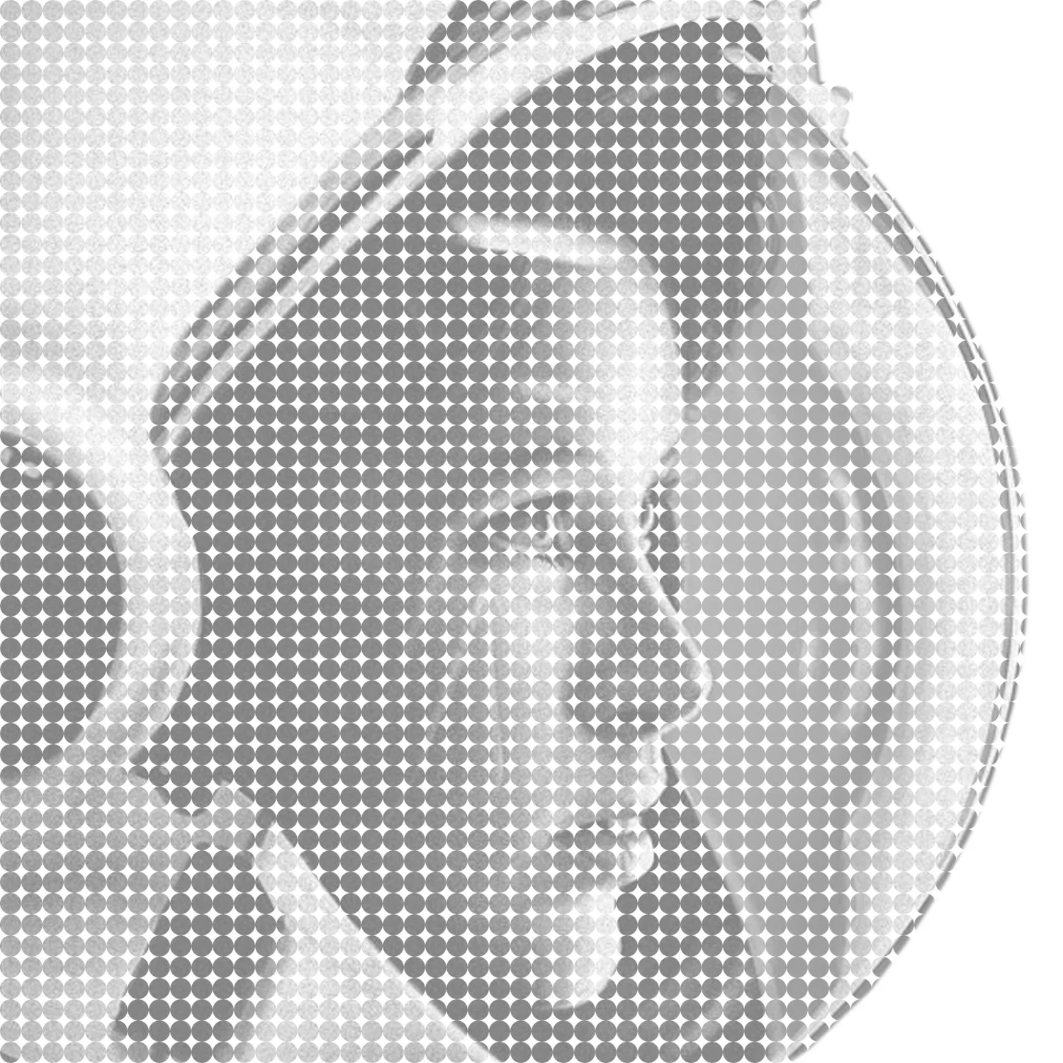 half_tone_image.jpg