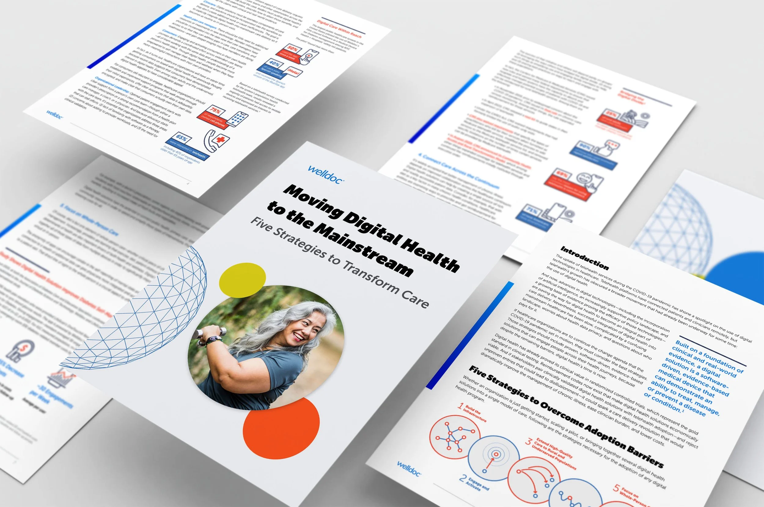 WellDoc_PDF_Mockup.jpg
