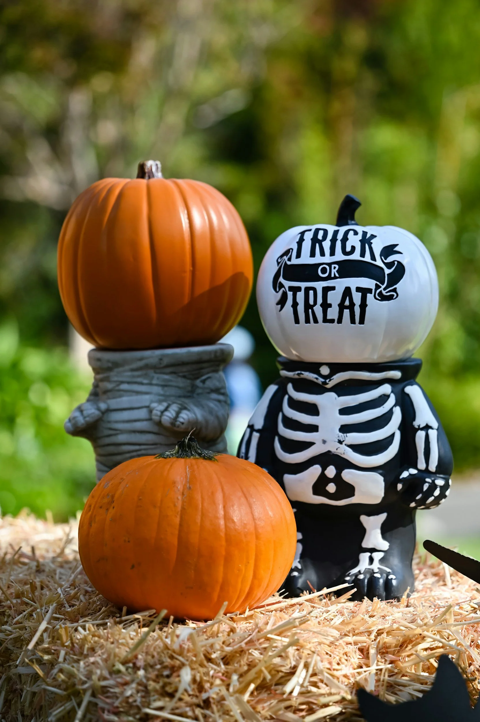 Trunk-o-Treat