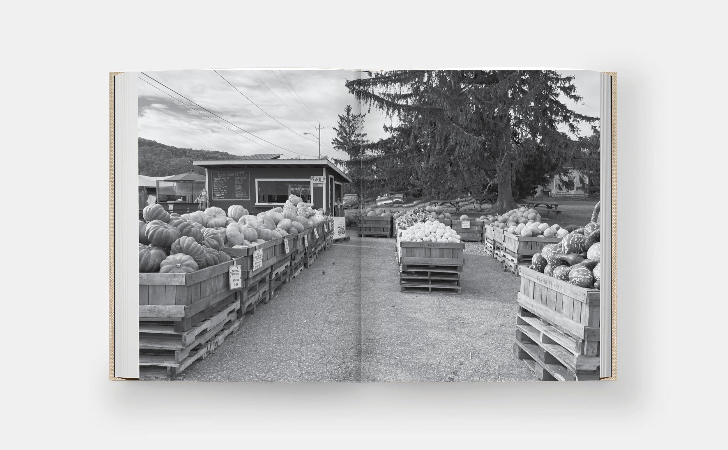 ColdSpringNY_spreads4.jpg